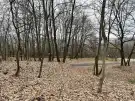 Pest megye - Verőce