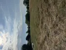 Fejér megye - Adony