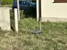 Pest megye - Dabas
