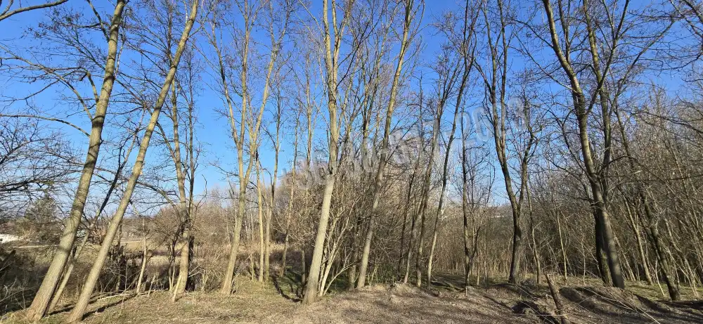 Tolna megye - Györköny