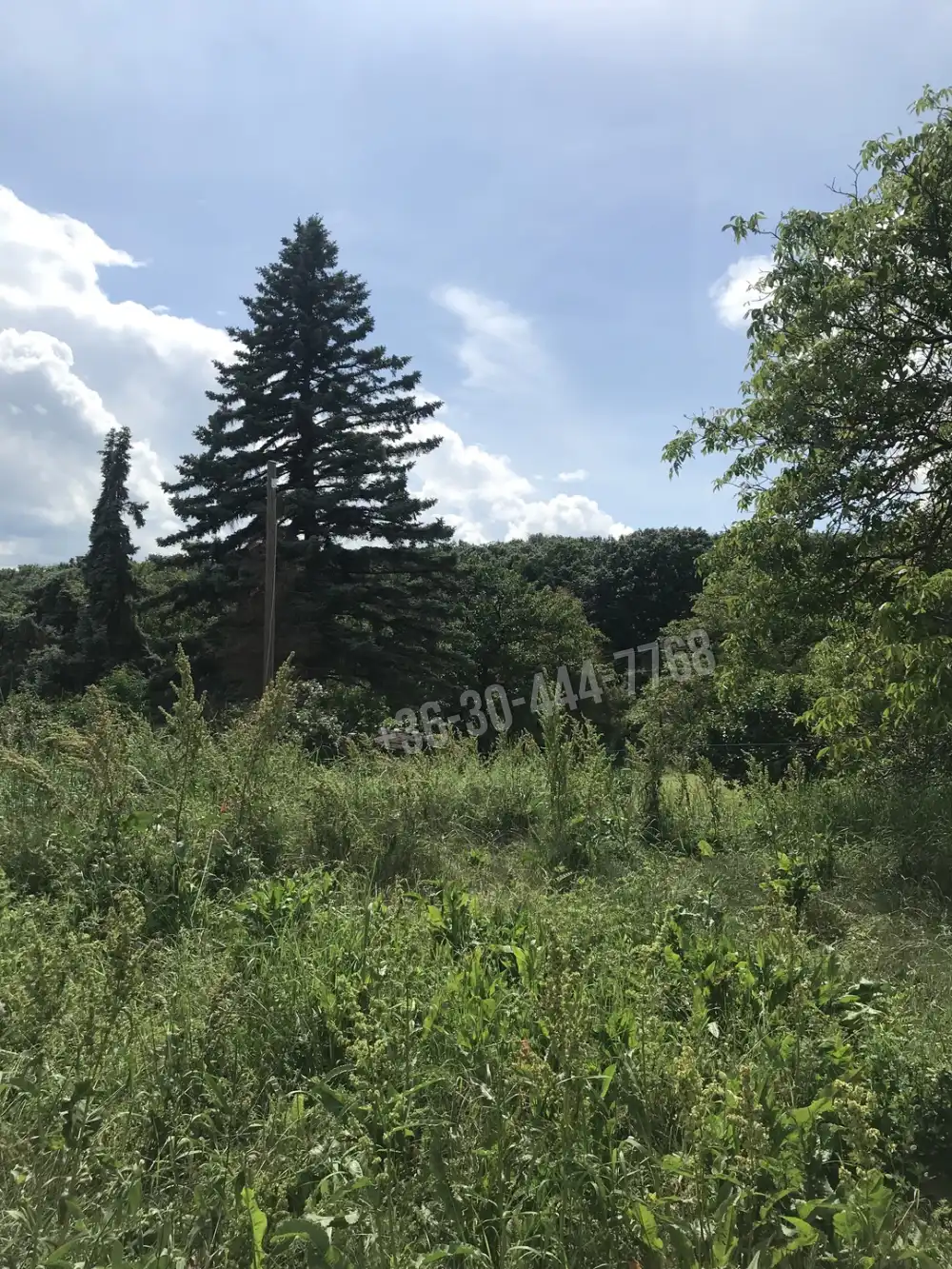 Baranya megye - Pécs
