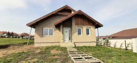eladó új építésű ingatlan, Berkenye