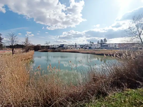 Eladó új építésű ingatlan, Mogyoród 5 szoba 229 m² 225 M Ft