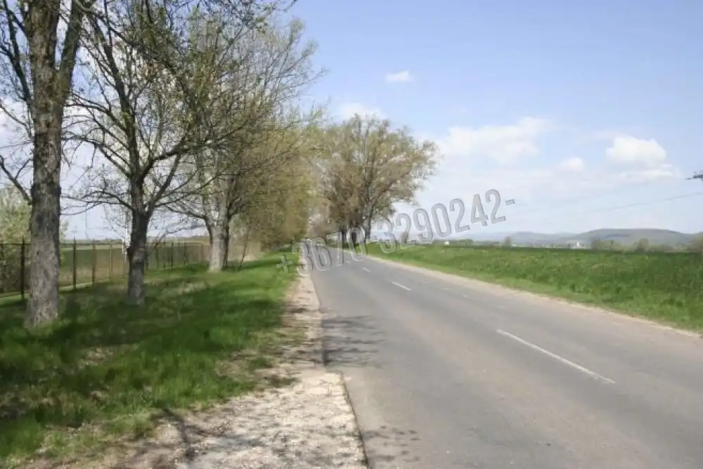 Borsod-Abaúj-Zemplén megye - Gönc