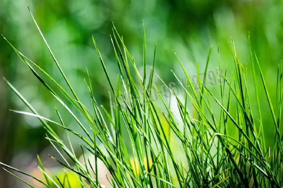 eladó újszerű családi ház, Abony