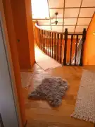 Pest megye - Albertirsa