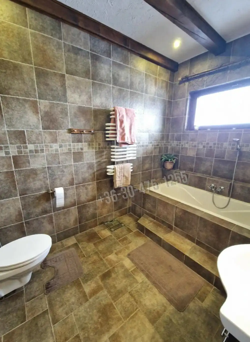 Pest megye - Délegyháza