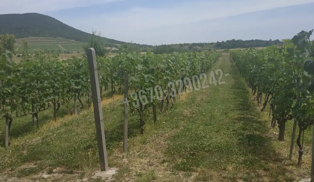 Borsod-Abaúj-Zemplén megye - Erdőbénye