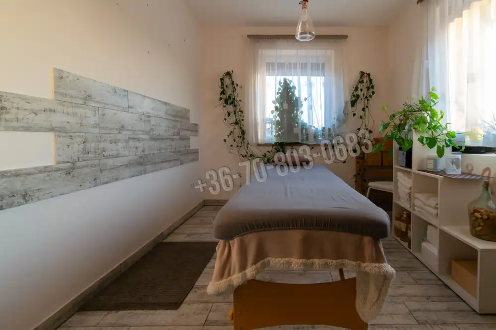 Győr-Moson-Sopron megye - Mosonmagyaróvár