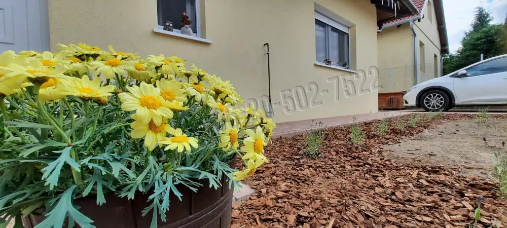 Pest megye - Sződ