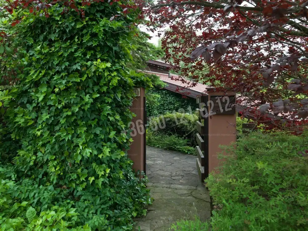 Pest megye - Veresegyház