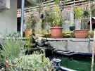 Pest megye - Verőce