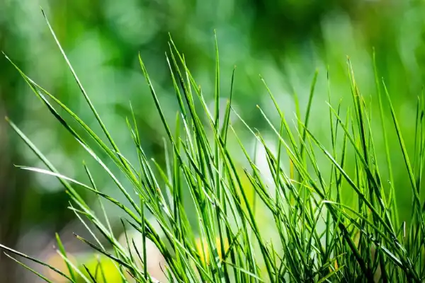 Eladó újszerű ingatlan, Abony 3 szoba 20 m² 500 M Ft