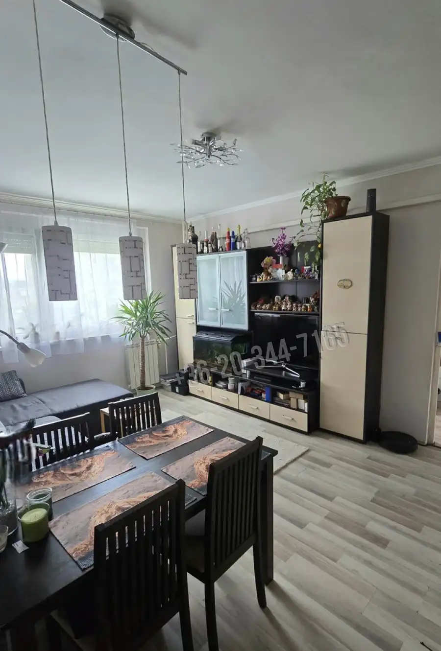 eladó újszerű panellakás, Dunakeszi