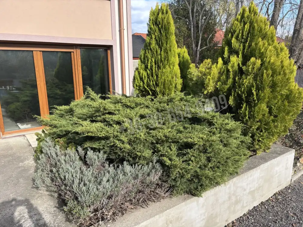 Pest megye - Vácrátót