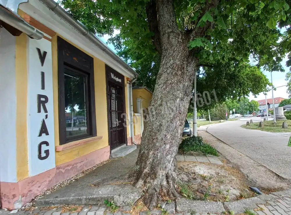 Fejér megye - Csákvár
