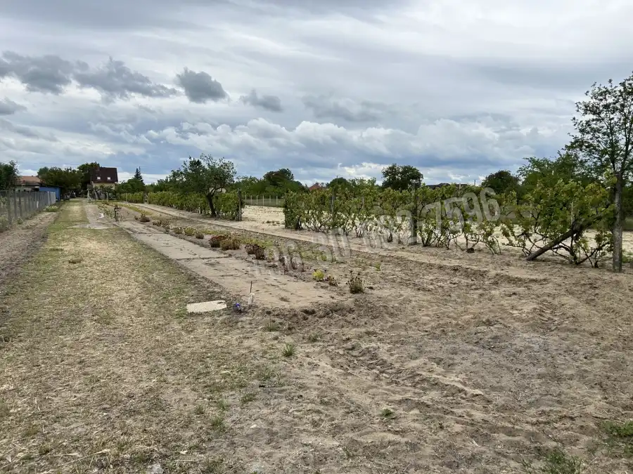 eladó üzlet, Csévharaszt