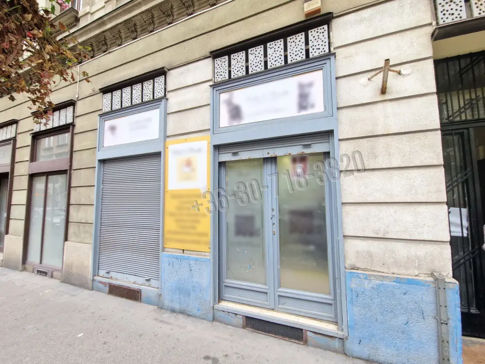 Budapest, VII. kerület - Erzsébetváros (Nagykörúton kívül)