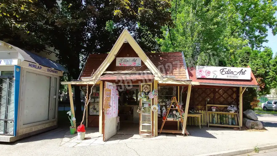 eladó üzlethelyiség utcai bejáratos, Győr