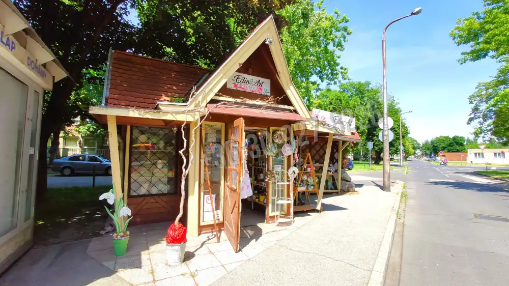 Győr-Moson-Sopron megye - Győr