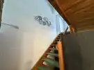 Komárom-Esztergom megye - Oroszlány