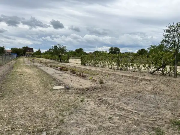Eladó üzleti ingatlan, Csévharaszt 600 m² 24 M Ft