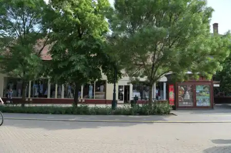 Eladó üzleti ingatlan, Gyula 234 m² 198 M Ft