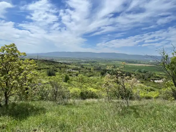 Eladó , Vác 8439 m² 11 M Ft