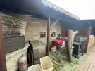 Pest megye - Cegléd