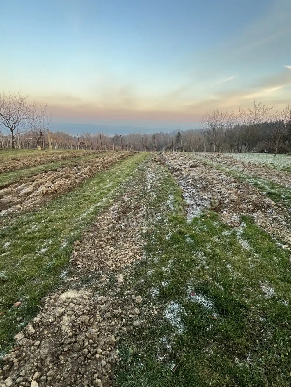 Zala megye - Lenti