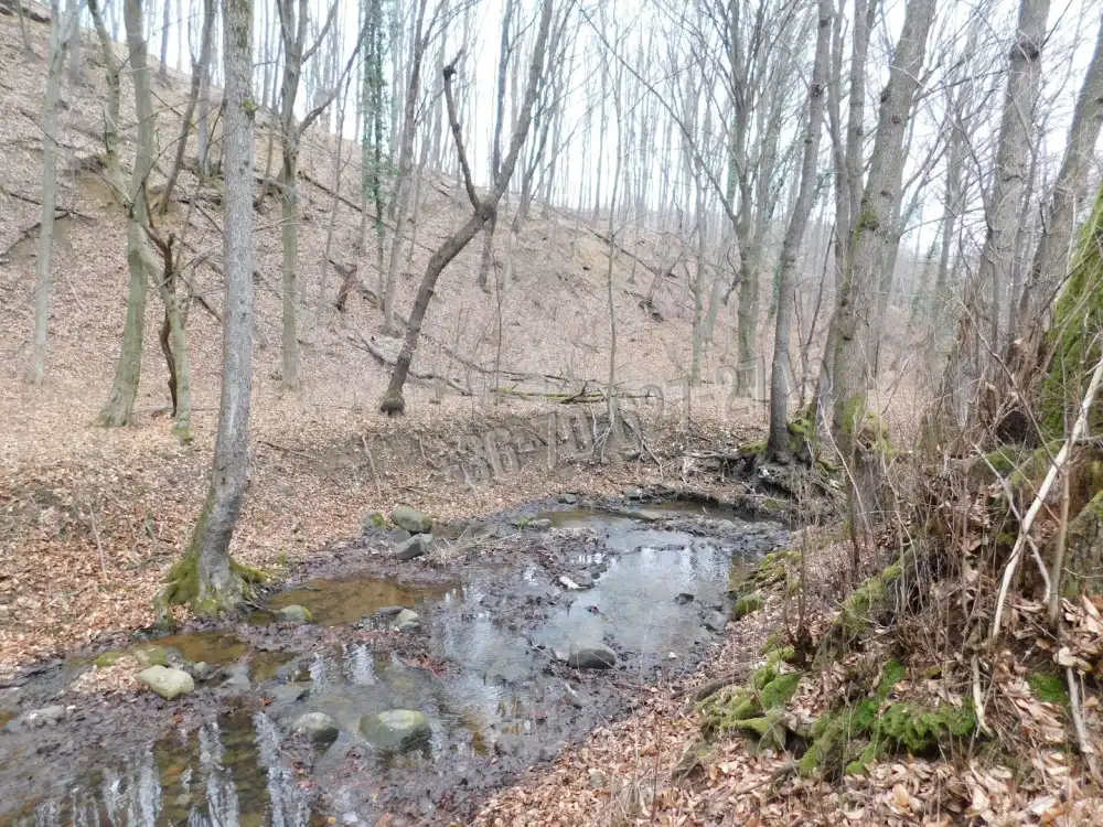 Heves megye - Parád