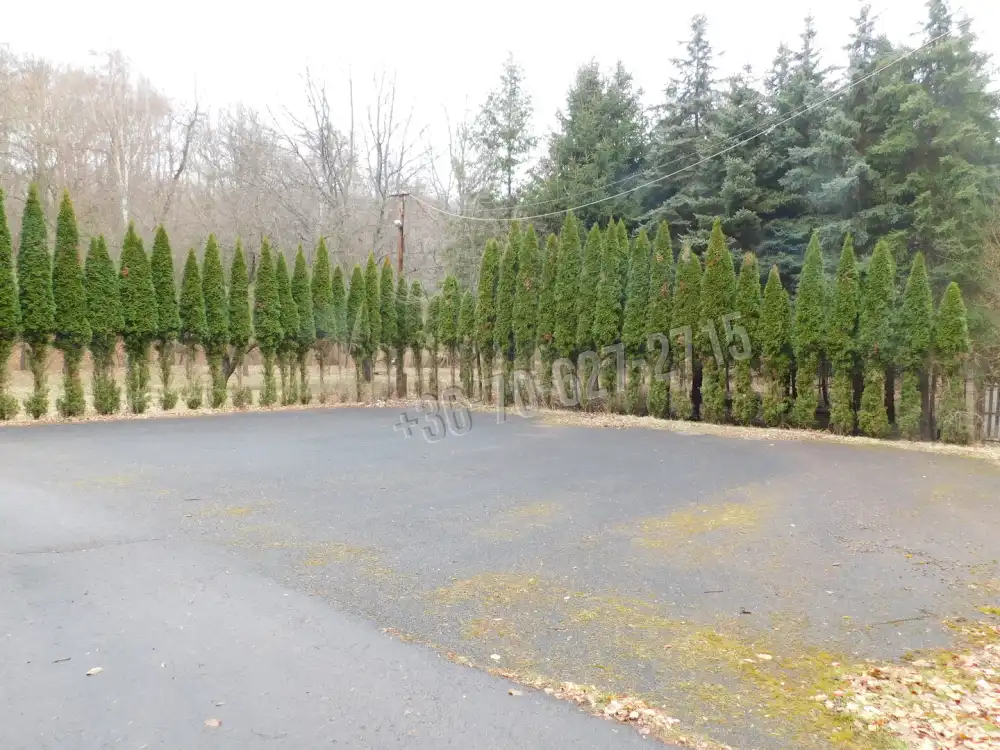 Heves megye - Parád