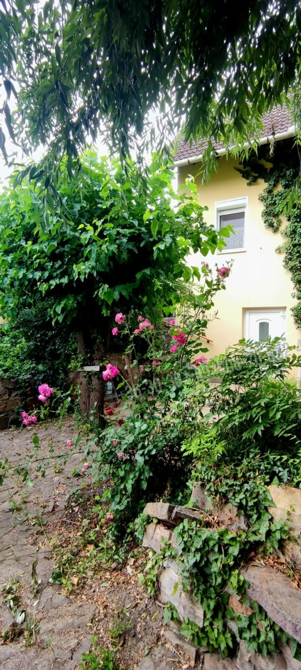 Pest megye - Sülysáp