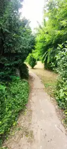 Pest megye - Sülysáp
