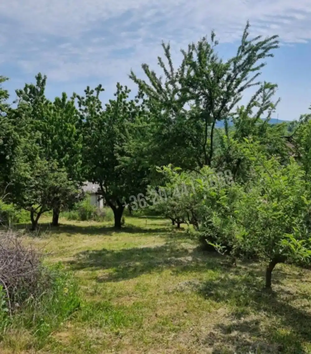 Zala megye - Zalaegerszeg