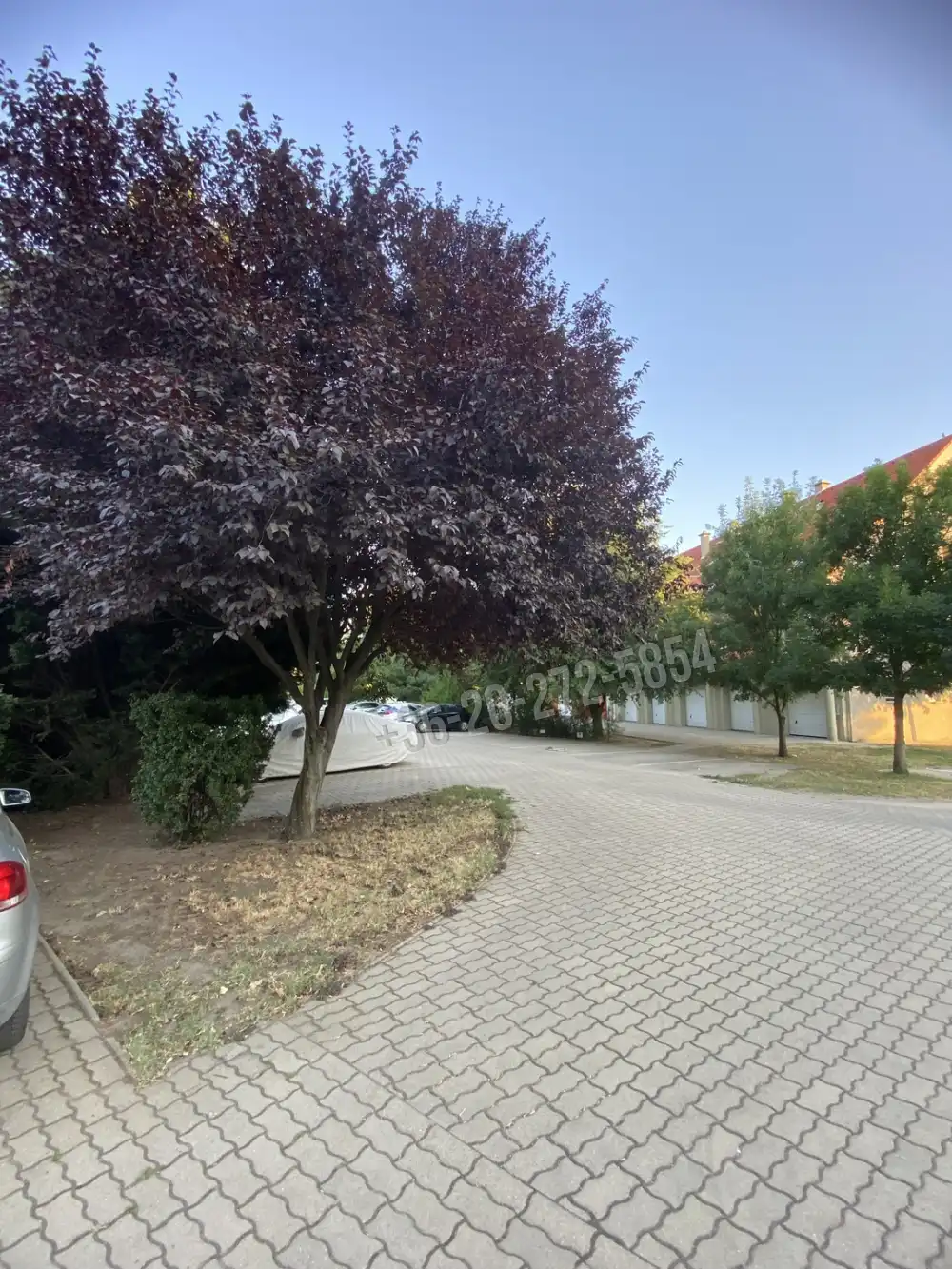 Csongrád megye - Szeged