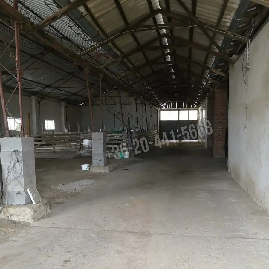 kiadó gazdasági ingatlan, Lakhegy