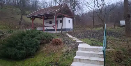 kiadó ingatlan, Tolmács