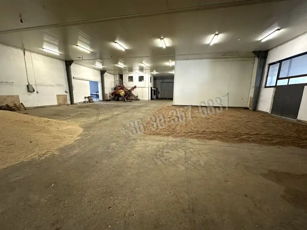 Csongrád megye - Szeged