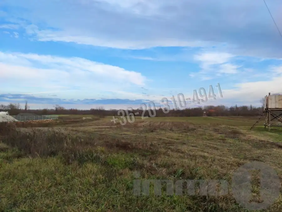 kiadó  Ipari telek, Dunaszentgyörgy