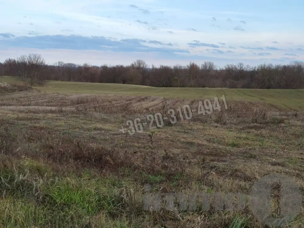 Tolna megye - Dunaszentgyörgy