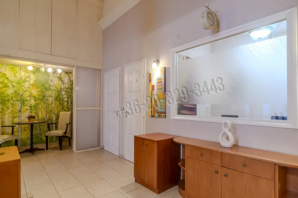 Budapest, VI. kerület - Terézváros (Nagykörúton belül)