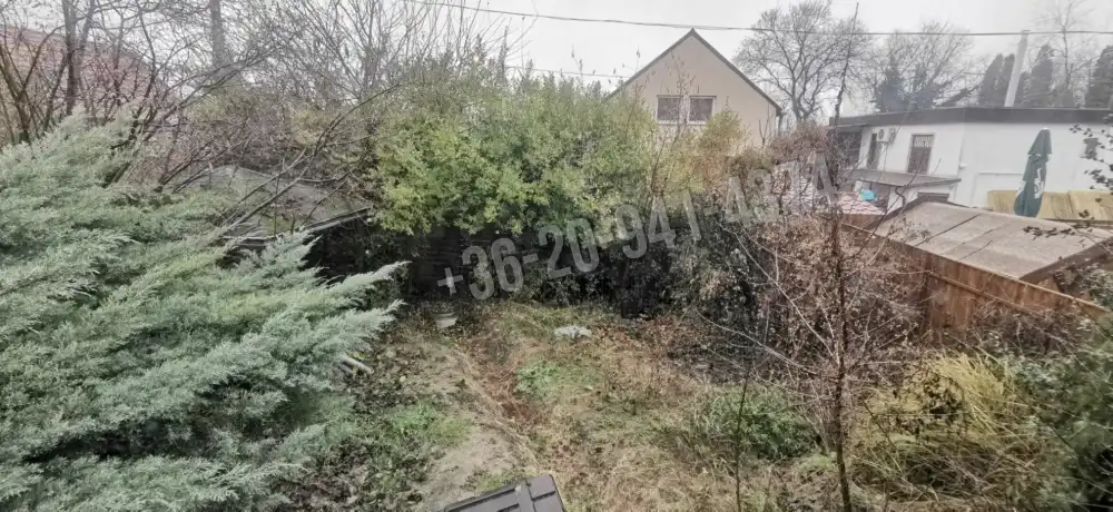 Pest megye - Dunaharaszti