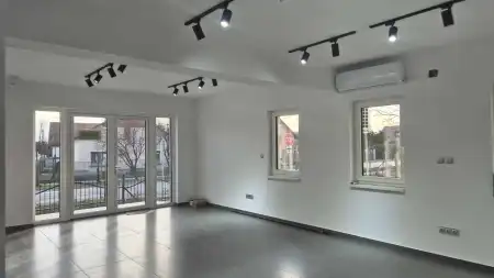 kiadó új építésű üzleti ingatlan, Dunaharaszti