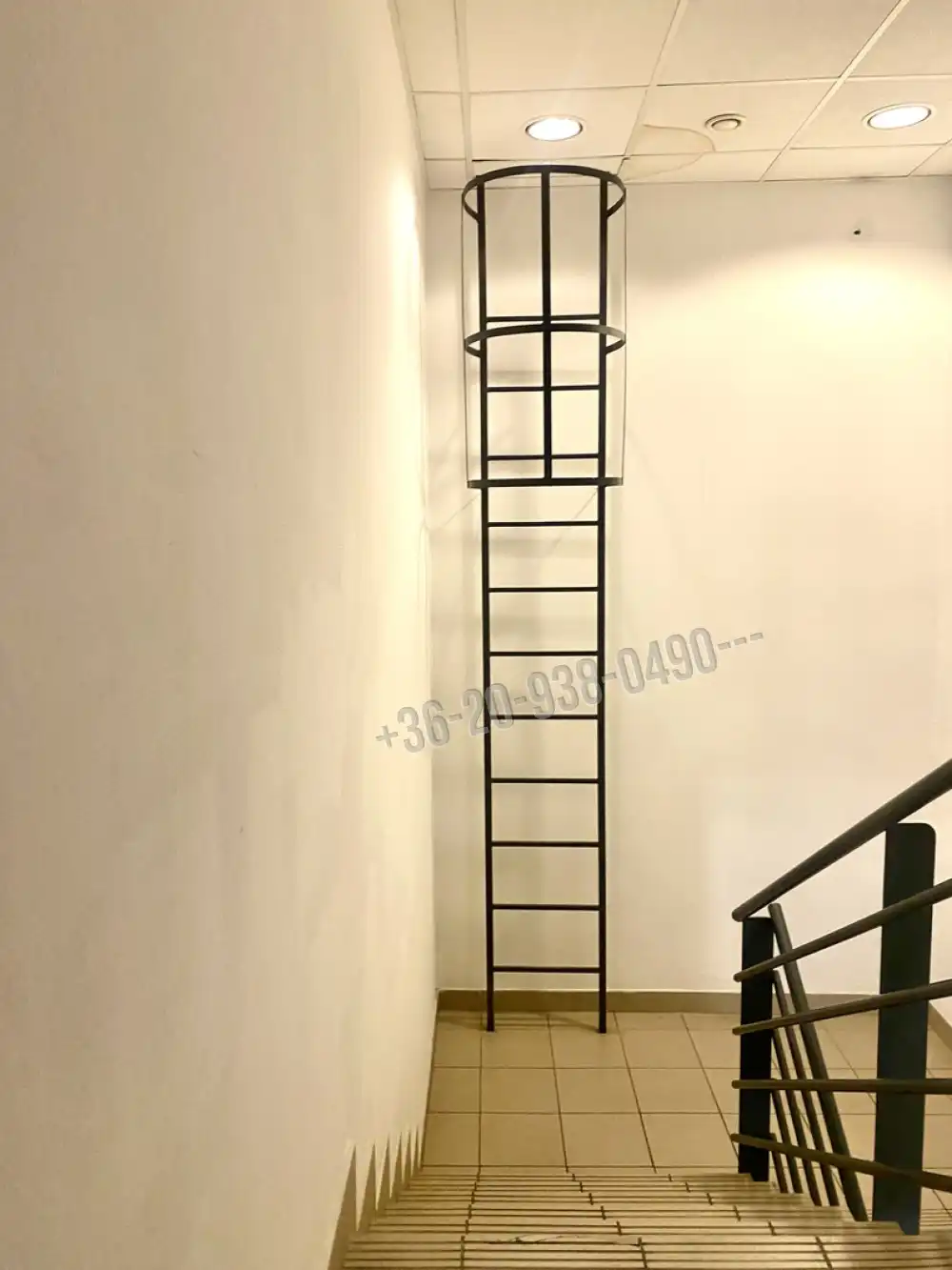 Budapest, X. kerület - Ligettelek