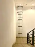 Budapest, X. kerület - Ligettelek