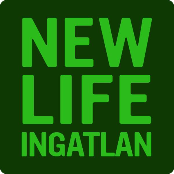 New Life Ingatlan